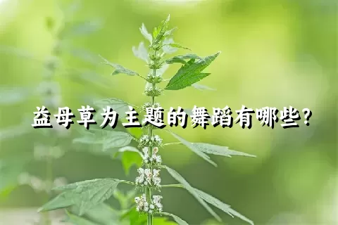 益母草为主题的舞蹈有哪些？