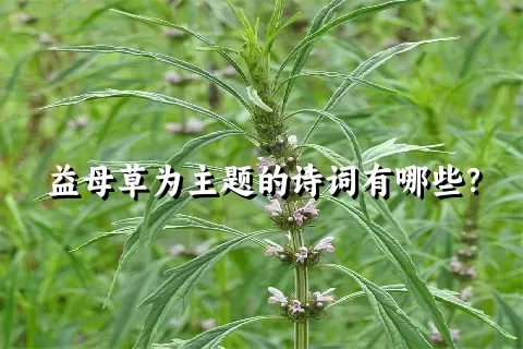 益母草为主题的诗词有哪些？