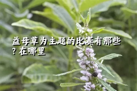 益母草为主题的比赛有那些？在哪里