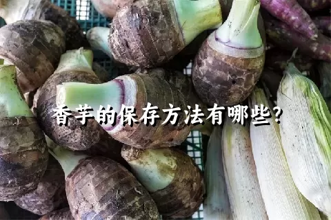 香芋的保存方法有哪些？