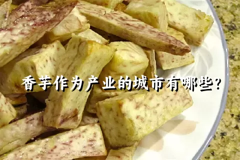 香芋作为产业的城市有哪些？