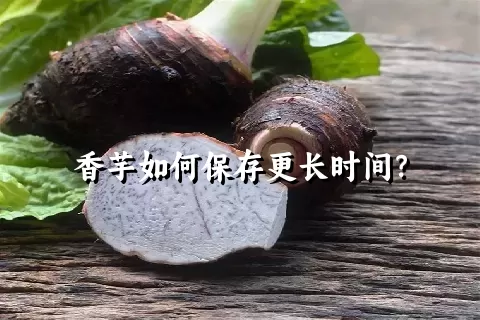 香芋如何保存更长时间？