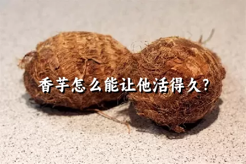 香芋怎么能让他活得久？