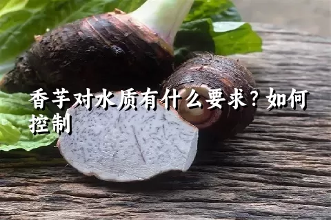 香芋对水质有什么要求？如何控制