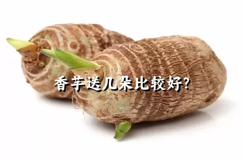 香芋送几朵比较好？