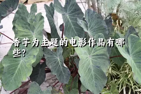 香芋为主题的电影作品有哪些？