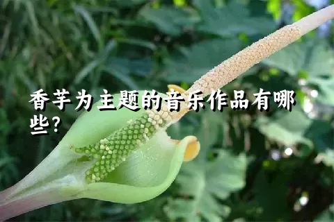 香芋为主题的音乐作品有哪些？