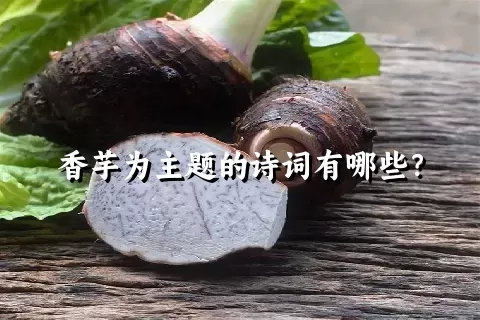 香芋为主题的诗词有哪些？