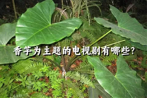 香芋为主题的电视剧有哪些？