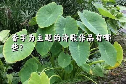 香芋为主题的诗歌作品有哪些？