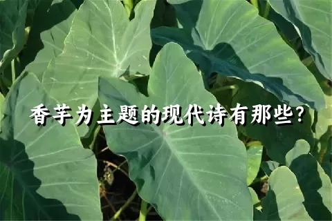 香芋为主题的现代诗有那些？