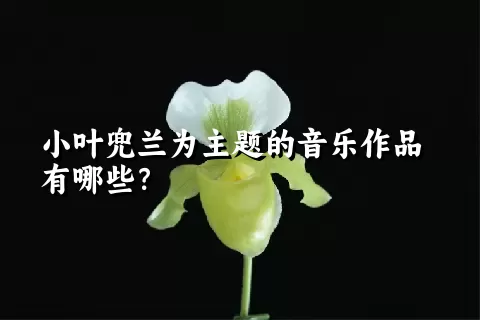 小叶兜兰为主题的音乐作品有哪些？