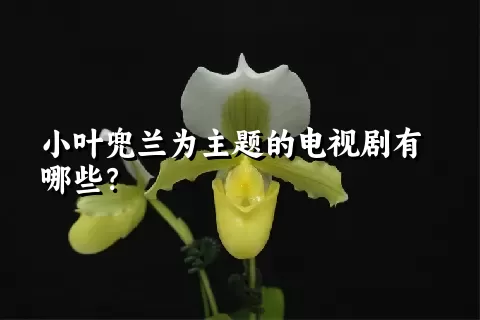 小叶兜兰为主题的电视剧有哪些？