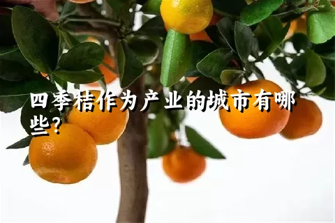 四季桔作为产业的城市有哪些？