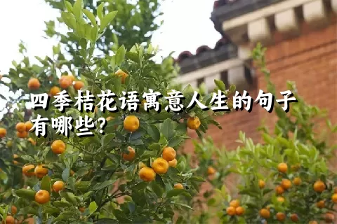 四季桔花语寓意人生的句子有哪些？