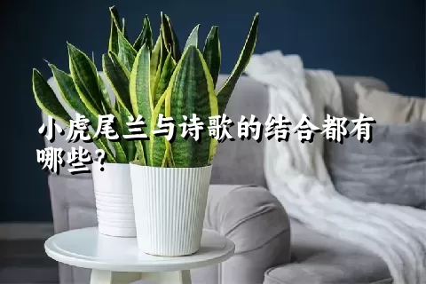 小虎尾兰与诗歌的结合都有哪些？