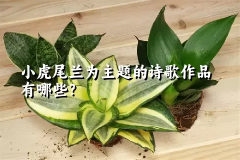 小虎尾兰为主题的诗歌作品有哪些？