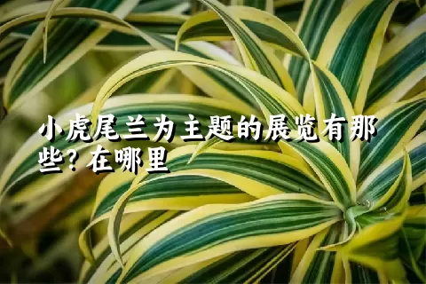 小虎尾兰为主题的展览有那些？在哪里