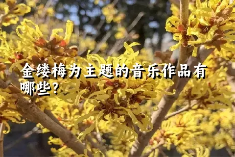 金缕梅为主题的音乐作品有哪些？