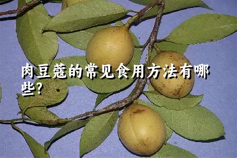 肉豆蔻的常见食用方法有哪些?