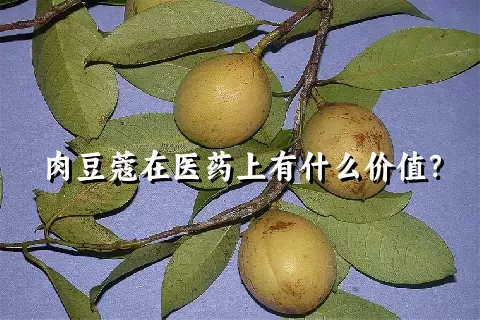 肉豆蔻在医药上有什么价值？