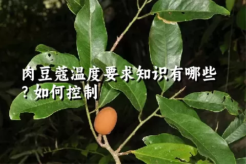 肉豆蔻温度要求知识有哪些？如何控制