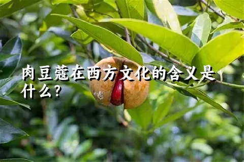 肉豆蔻在西方文化的含义是什么？