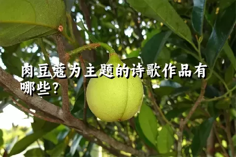 肉豆蔻为主题的诗歌作品有哪些？