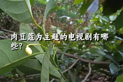 肉豆蔻为主题的电视剧有哪些？