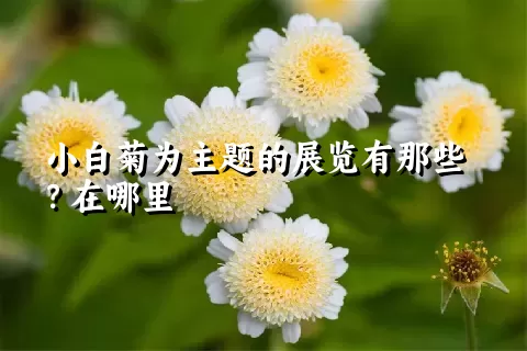 小白菊为主题的展览有那些？在哪里