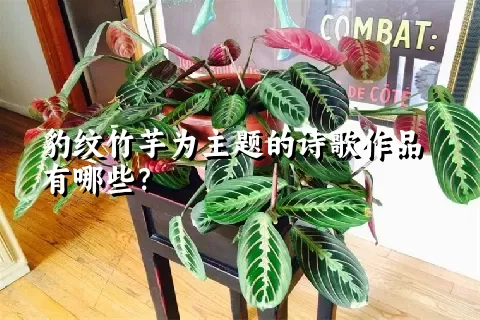 豹纹竹芋为主题的诗歌作品有哪些？