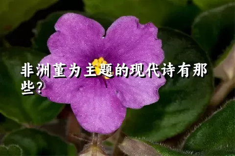 非洲堇为主题的现代诗有那些？