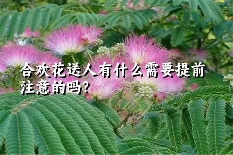 合欢花送人有什么需要提前注意的吗？