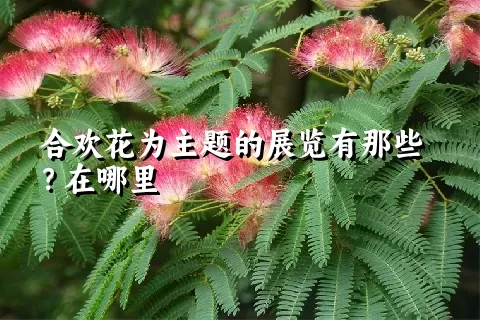 合欢花为主题的展览有那些？在哪里