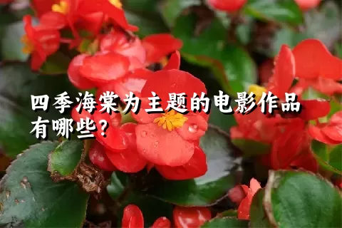 四季海棠为主题的电影作品有哪些？