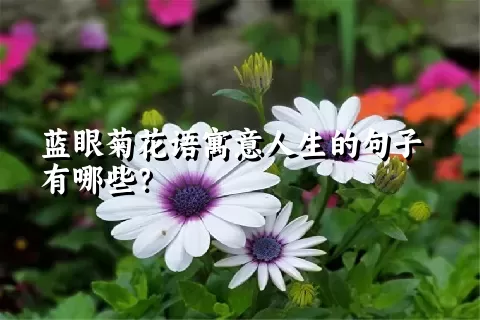 蓝眼菊花语寓意人生的句子有哪些？