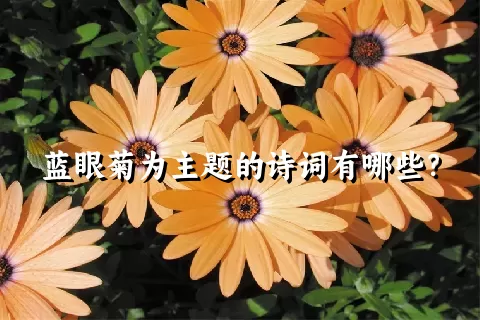 蓝眼菊为主题的诗词有哪些？