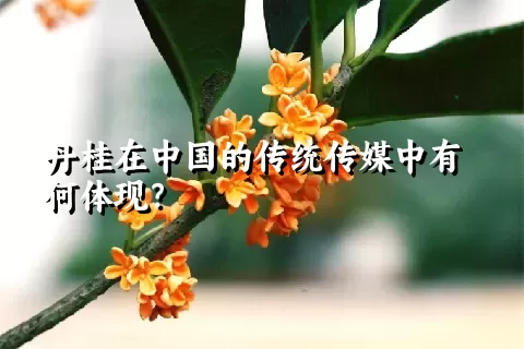 丹桂在中国的传统传媒中有何体现？