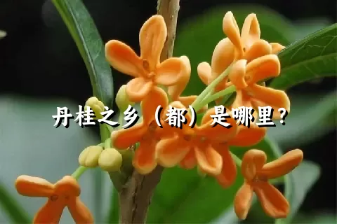 丹桂之乡（都）是哪里？