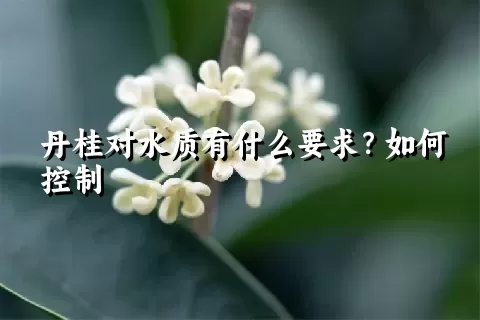 丹桂对水质有什么要求？如何控制