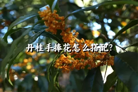 丹桂手捧花怎么搭配？