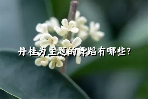 丹桂为主题的舞蹈有哪些？