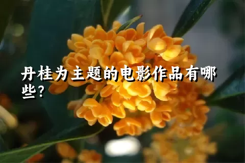 丹桂为主题的电影作品有哪些？