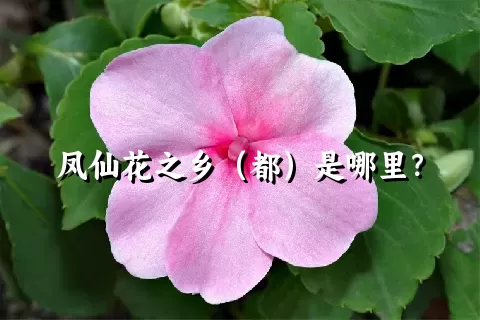 凤仙花之乡（都）是哪里？