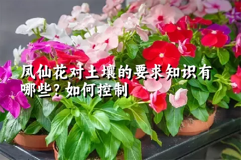 凤仙花对土壤的要求知识有哪些？如何控制