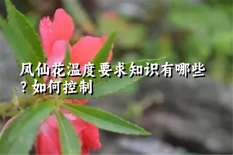 凤仙花温度要求知识有哪些？如何控制