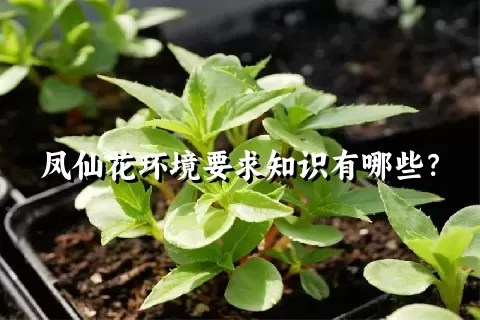 凤仙花环境要求知识有哪些？