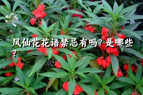 凤仙花花语禁忌有吗？是哪些？