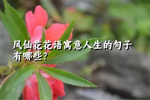 凤仙花花语寓意人生的句子有哪些？