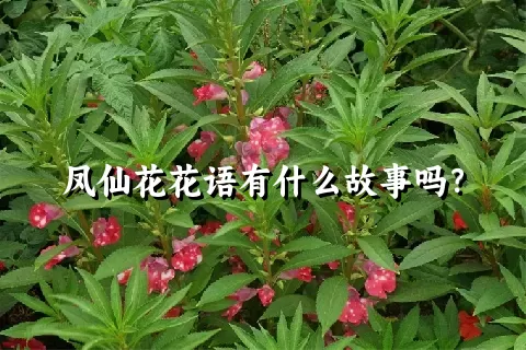 凤仙花花语有什么故事吗？